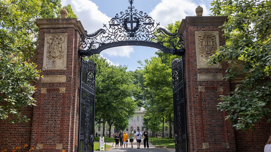 Harvard charging $13K for DEI certificate on ‘bias’ and ‘privilege’